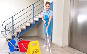 Curso Virtual de Aseo Profesional de Edificios y Oficinas