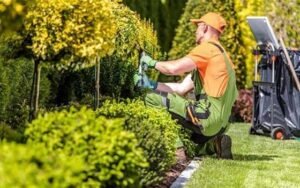 Curso virtual de Jardinería Profesional