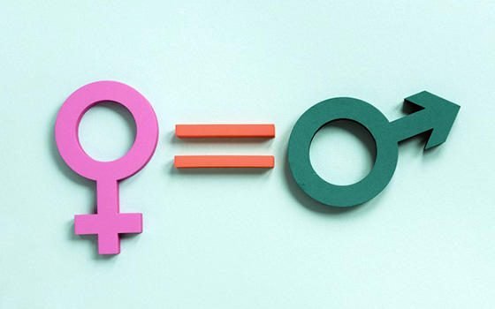 Curso virtual de Promoción de la Igualdad y Equidad de Género