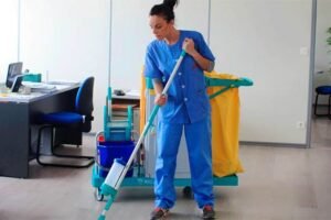 Cursos Virtuales de Aseo Profesional